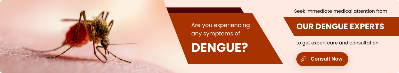 dengue fever - Sriramakrishnahospital
