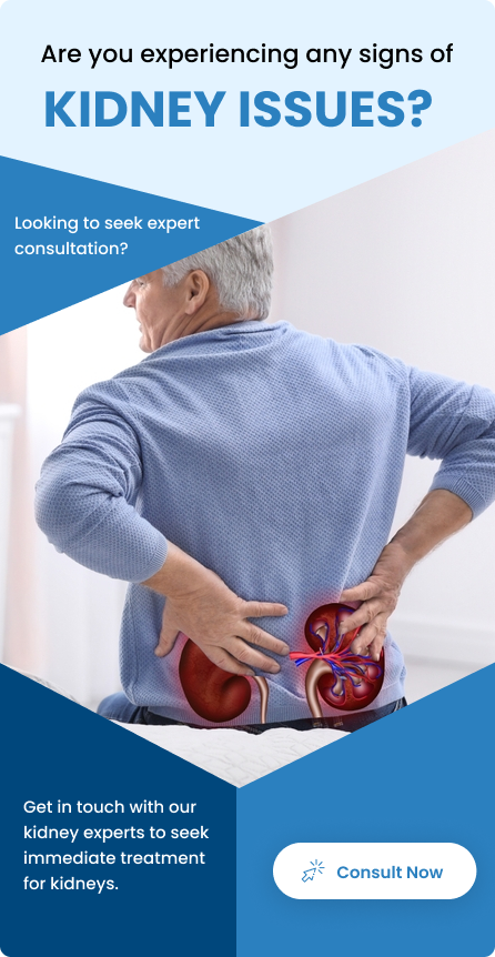 Why Does High Blood Pressure Affect The Kidneys 