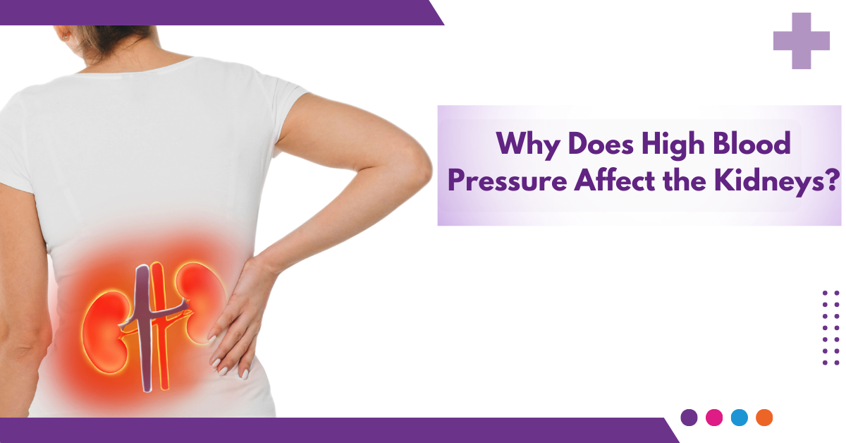 Why Does High Blood Pressure Affect the Kidneys?