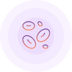 Clinical Hematology