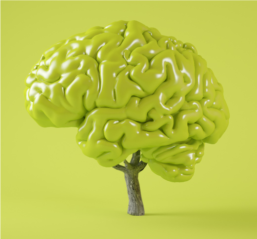 brain stroke treatment in coimbatore