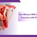 Can Women With Uterine Fibroids Conceive With IVF Treatment?