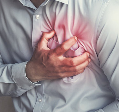 myoccardion